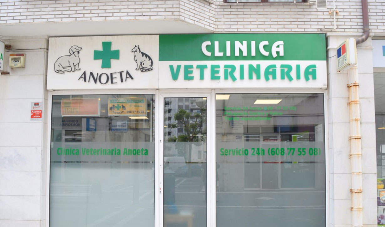 Clínica Veterinaria Anoeta San Sebastián